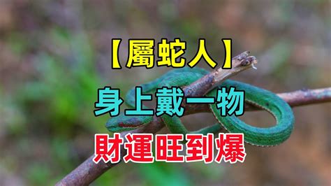 屬蛇配戴|屬蛇的人適合配戴什麼？揭秘生肖蛇的最佳配飾選擇